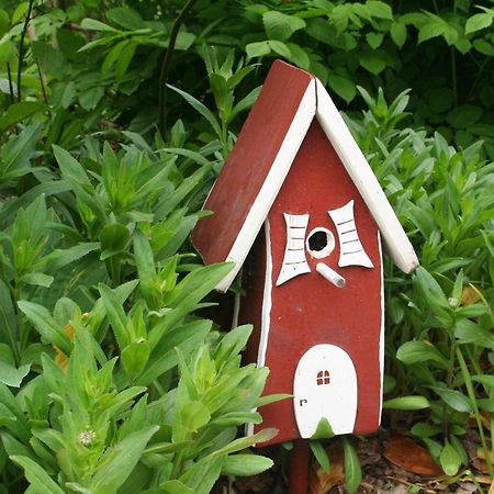 Wohnung-Schwalbennest Süderende Esterno foto